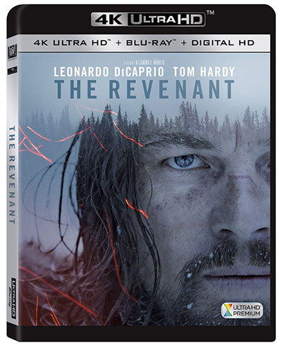 The revenant 2015 dual audio movie download
